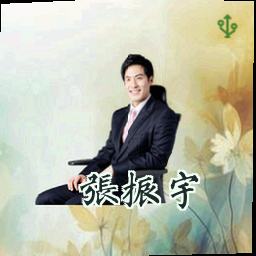 张振宇